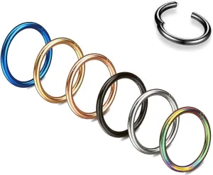20G 18G 16G 14G Nose Rings Hoops 316L Surgical Steel Hinged Clicker Segment Septum Nose Lip Rings for Women 6mm 7mm 8mm 9mm 10mm 12mm Gold Silver Black Rose Gold Blue