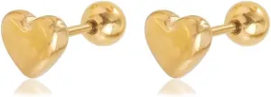 20G Tiny Cute Heart Stud Earring for Women Gold Plated Titanium Steel Sweet Love Screw Back Studs Earrings Cartilage Body Piercing Studs Chic Jewelry for Wedding