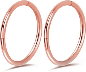 2Pcs Titanium Nose Rings 20G 18G 16G Nose Rings Hoops Septum Clicker Hinged Segment Ring Cartilage Helix Tragus Conch Daith Rook Nostril Hoop Piercing Earring, Diameter 5mm to 12mm Silver-Gold-Rose Gold-Black