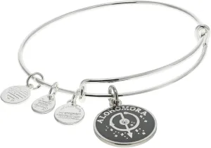 Alex and Ani Expandable Bangle Harry Potter Alohomora Bracelets