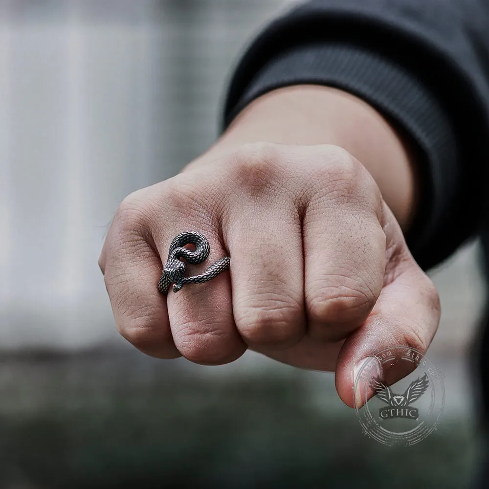 Entwined Snake Stainless Steel Ring