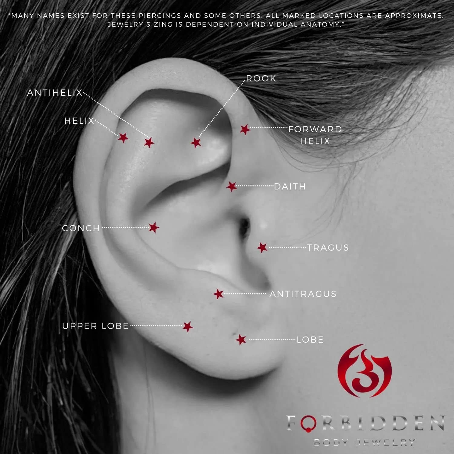 Forbidden Body Jewelry Set of Organic Sono Wood Ear Gauges, 10mm - 25mm Double Flared Saddle Tunnel Plug Earrings