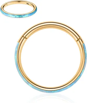 FUNLMO 316L Surgical Steel Nose Ring Hoop Opal Cartilage Earring Conch Daith Rook Orbital Helix Daith Tragus Piercing Jewelry Cartilage Septum Jewelry Cartilage Conch Hoop Earring