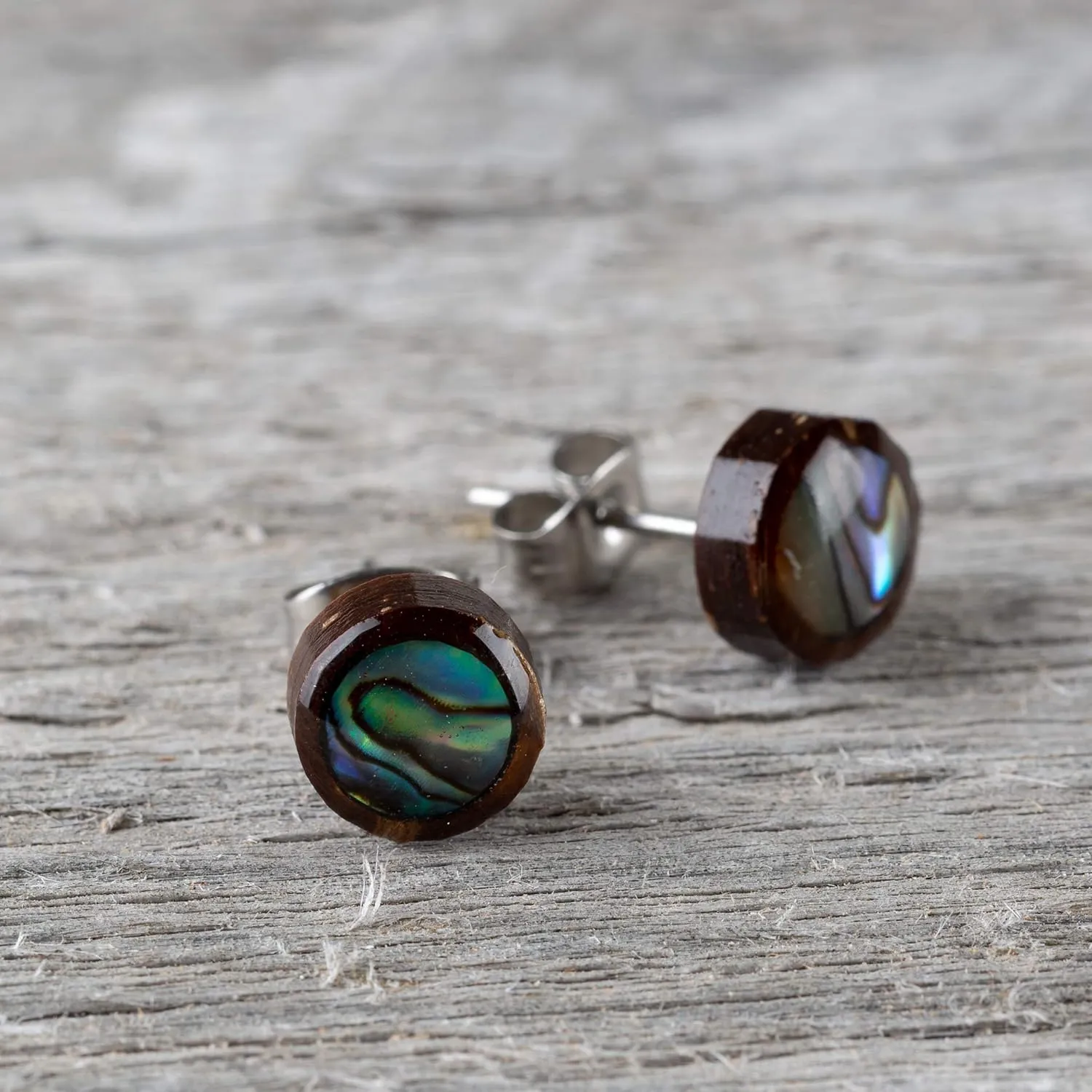 Organic Shell Stud Earrings for Women - Stud Earring Set surrounded by Coconut Shell with Abalone, Mother of Pearl, and More