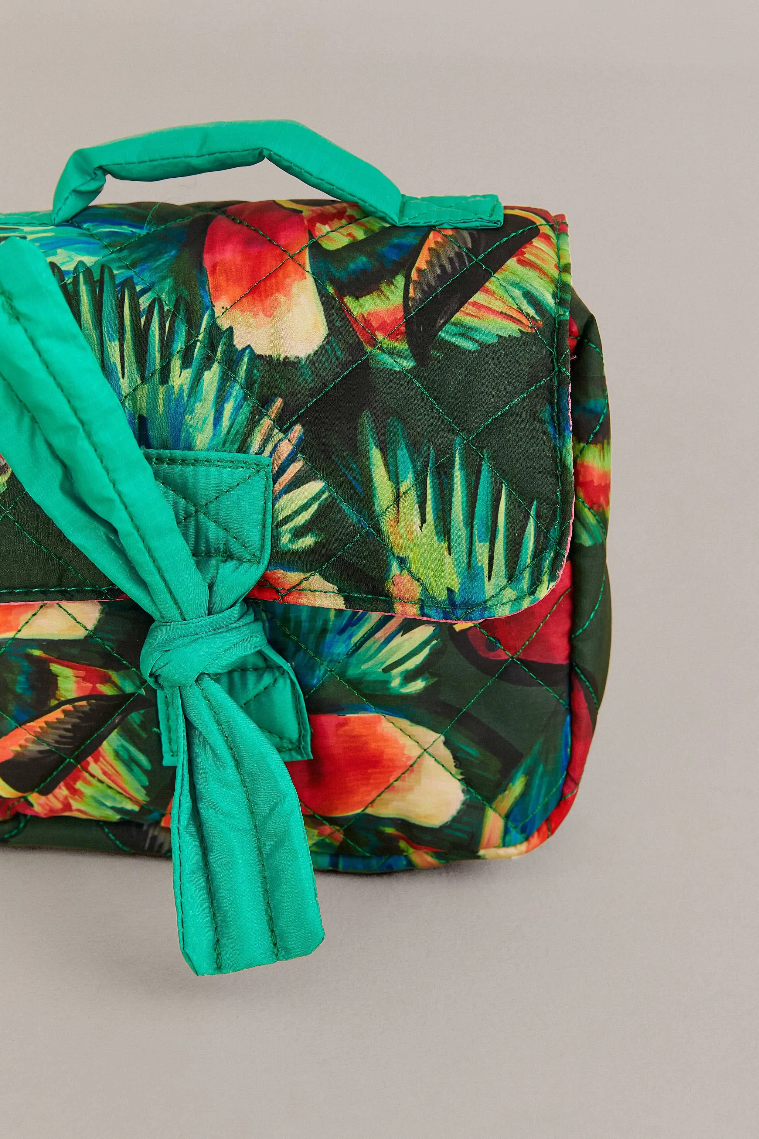 Painted Toucans Carry The Sun Pouch