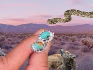 Turquoise Studs